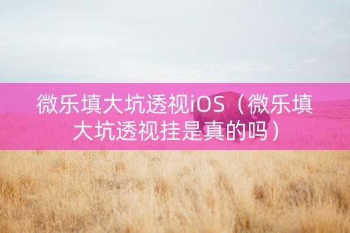 微乐填大坑透视iOS（微乐填大坑透视挂是真的吗）