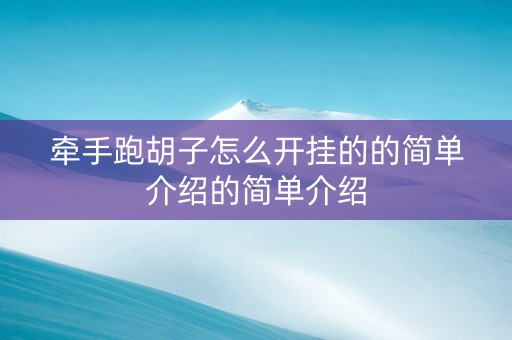 牵手跑胡子怎么开挂的的简单介绍的简单介绍