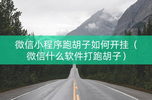 微信小程序跑胡子如何开挂（微信什么软件打跑胡子）