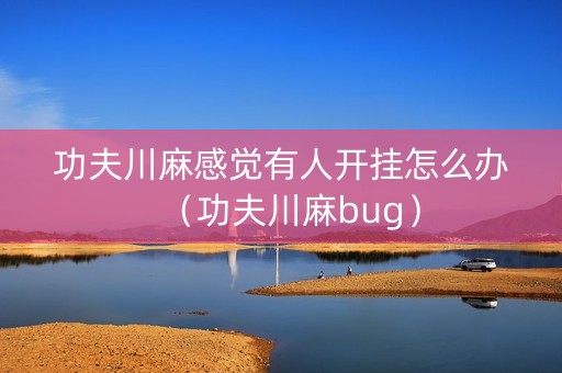 功夫川麻感觉有人开挂怎么办（功夫川麻bug）