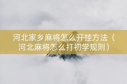 河北家乡麻将怎么开挂方法（河北麻将怎么打初学规则）