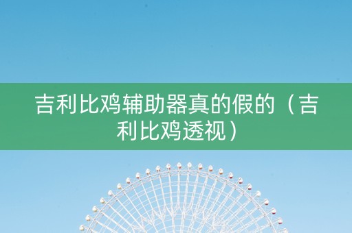 吉利比鸡辅助器真的假的（吉利比鸡透视）