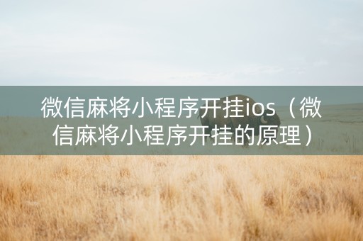 微信麻将小程序开挂ios（微信麻将小程序开挂的原理）