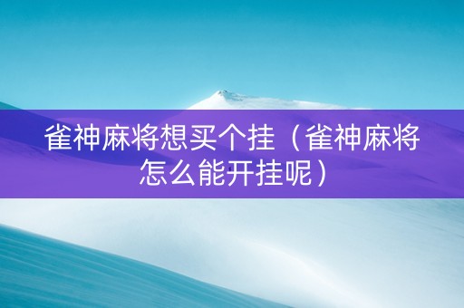 雀神麻将想买个挂（雀神麻将怎么能开挂呢）