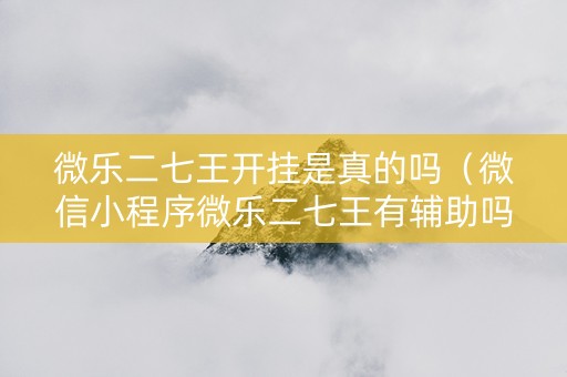 微乐二七王开挂是真的吗（微信小程序微乐二七王有辅助吗）