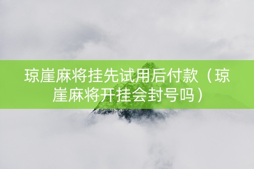 琼崖麻将挂先试用后付款（琼崖麻将开挂会封号吗）