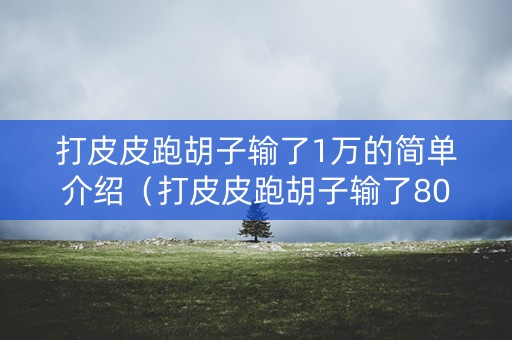 打皮皮跑胡子输了1万的简单介绍（打皮皮跑胡子输了80万）