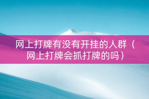 网上打牌有没有开挂的人群（网上打牌会抓打牌的吗）