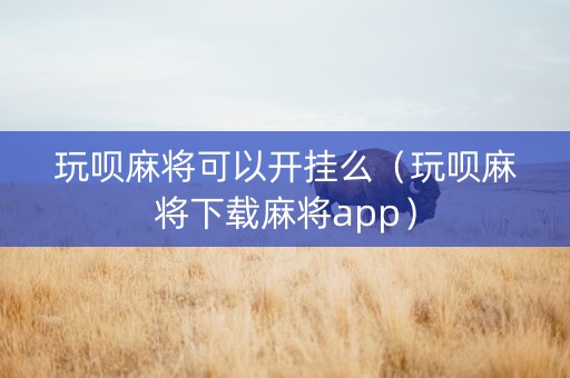 玩呗麻将可以开挂么（玩呗麻将下载麻将app）