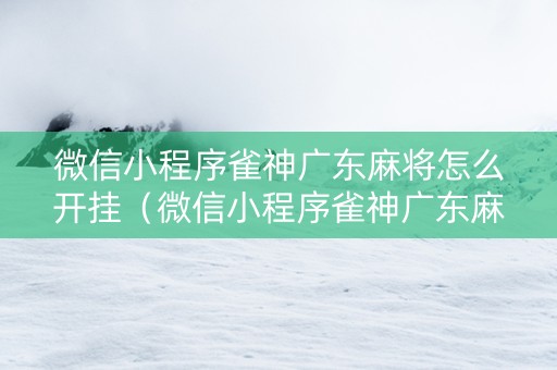 微信小程序雀神广东麻将怎么开挂（微信小程序雀神广东麻将开挂视频教程）