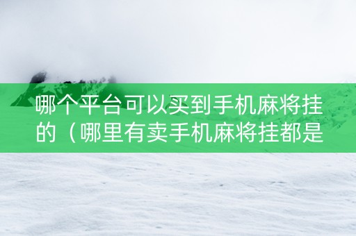 哪个平台可以买到手机麻将挂的（哪里有卖手机麻将挂都是真的吗）