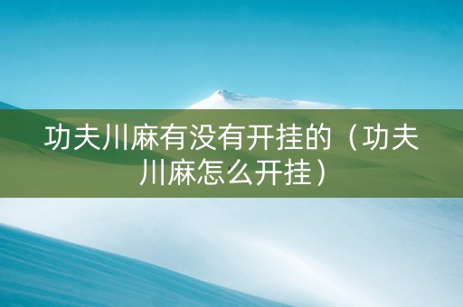 功夫川麻有没有开挂的（功夫川麻怎么开挂）