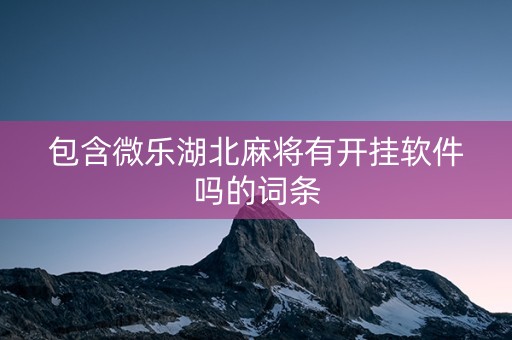 包含微乐湖北麻将有开挂软件吗的词条