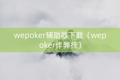 wepoker辅助器下载（wepoker作弊挂）