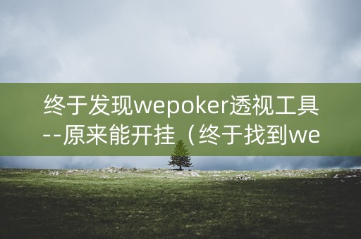 终于发现wepoker透视工具--原来能开挂（终于找到wepoker透视软件）